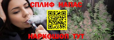 гашик Гусь-Хрустальный